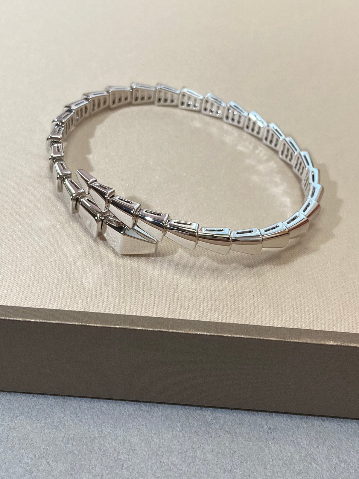 [⭐Clover Jewelry]SERPENTI VIPER SILVER BRACELET